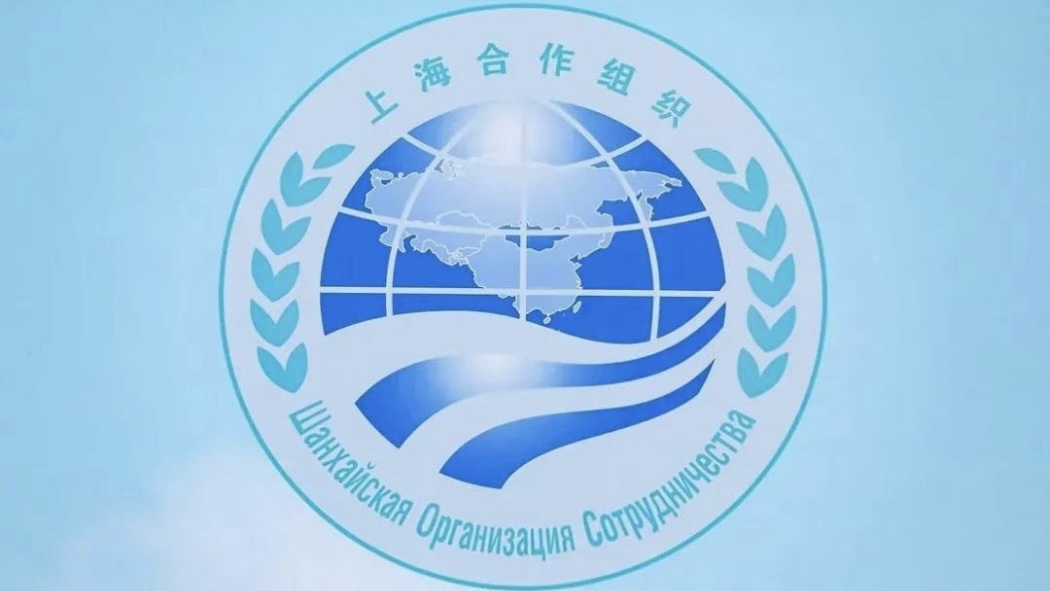 上海合作组织声明