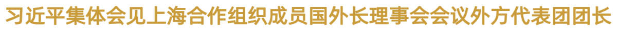 習近平集體會見上海合作組織成員國外長理事會會議外方代表團團長